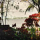 View of the Caloosahatchee River