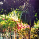 Lush tropical foliage around the Edison home