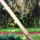 photos-of-the-edison-and-ford-winter-homes-gardens-and-lab-in-fort-myers-florida