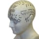 Phrenology became a popular party game - reading bumps on the head.