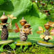acorn-arts-crafts-for-kids-children-easy-fall-autumn-projects-ideas