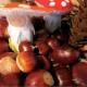 acorn-arts-crafts-for-kids-children-easy-fall-autumn-projects-ideas