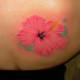 hibiscus-tattoos-and-meanings-hisbiscus-tattoo-designs-and-ideas-hibiscus-tattoo-pictures