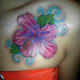 hibiscus-tattoos-and-meanings-hisbiscus-tattoo-designs-and-ideas-hibiscus-tattoo-pictures