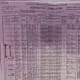 Documents from the 1900 Census that showed the origin of the Platt-Coleman family through Richard Johnson, who was born in the 1800's.