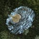 Spathodea winged seed
