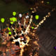 other-games-like-dungeon-keeper