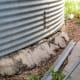 The bin foundation looks nasty and leaky . . . but inside it is still okay in most areas.