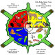Traditional Food Circle