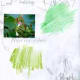 cmnaturestudy