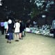 collectdiana