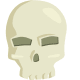 Skull mask