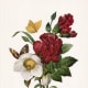 Victorian flower bouquet * See downloading instructions above
