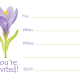 Purple crocus flower on white background