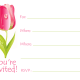 Pink tulip on white background
