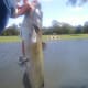 fishing-with-bread