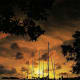 Sailboats And Sunset