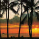 the-best-little-lesbian-resort-in-key-west
