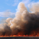...or the smoke in the distance?