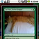 android-apps-for-mtg-magic-the-gathering