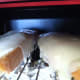welsh-rarebit-recipe