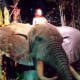 Tarzan in The Great Movie Ride