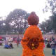 chrysanthemum-show