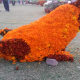 chrysanthemum-show