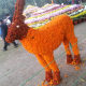chrysanthemum-show