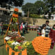 chrysanthemum-show