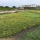 fukuoka-budget-my-travel-best-uminonakamichi-seaside-park