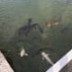 fukuoka-budget-my-travel-best-uminonakamichi-seaside-park