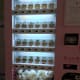 fukuoka-budget-my-travel-best-uminonakamichi-seaside-park