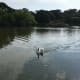fukuoka-budget-my-travel-best-uminonakamichi-seaside-park