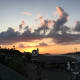 fukuoka-budget-my-travel-best-uminonakamichi-seaside-park
