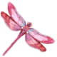 PINK DRAGONFLY