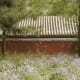 There was a carpet of purple wildflowers when I visited this temple (Tanjiesi) on the far west side of Beijing in the spring.