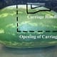 A outline guide for the carriage opening and handle.