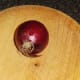 Whole red onion