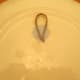 apply a generous amount of glue and put the jute ends facing down onto the glue