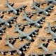 airplane-boneyards-graveyards-junkyards-cemetaries-mothballed-military-and-commercial-aircraft-soviet-american