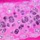 Hyaline Cartilage H&E Stain