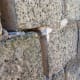 Seriously damaged out-house walls caused by to fig root damage