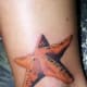 starfish-tattoos-and-designs-starfish-tattoo-meanings-and-ideas-starfish-tattoo-pictures