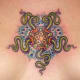 starfish-tattoos-and-designs-starfish-tattoo-meanings-and-ideas-starfish-tattoo-pictures