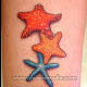 starfish-tattoos-and-designs-starfish-tattoo-meanings-and-ideas-starfish-tattoo-pictures