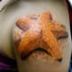 starfish-tattoos-and-designs-starfish-tattoo-meanings-and-ideas-starfish-tattoo-pictures