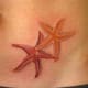 starfish-tattoos-and-designs-starfish-tattoo-meanings-and-ideas-starfish-tattoo-pictures