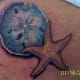 starfish-tattoos-and-designs-starfish-tattoo-meanings-and-ideas-starfish-tattoo-pictures