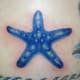 starfish-tattoos-and-designs-starfish-tattoo-meanings-and-ideas-starfish-tattoo-pictures